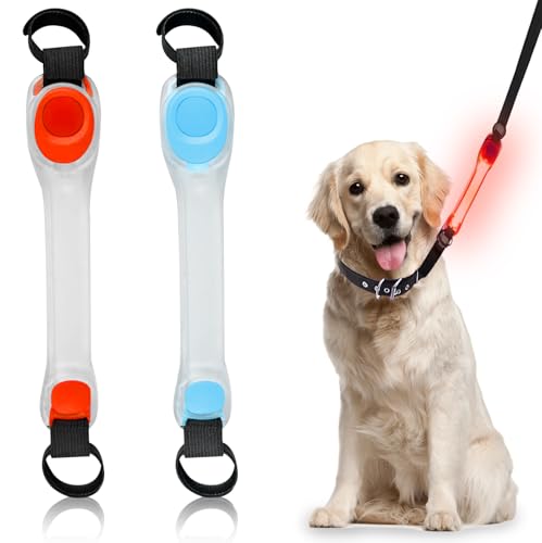 2 Stück LED Leuchtband für Hunde, USB Aufladbar LED Leuchthalsband Blinklicht mit Klettverschluss Leuchtbänder, Einfach an Halsband Leine Geschirr zu Befestigen Wasserdicht Outdoor (Seeblau + Rot) von Asfrode