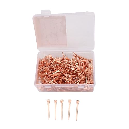 Asixxsix 250 Stück Hufeisennägel, Verkupferte, Rostfreie Reitausrüstung mit Aufbewahrungsbox aus Kunststoff, Hufstifte aus Stahl für Pferdetraining und Viehzuchtfarmen (45mm E3) von Asixxsix