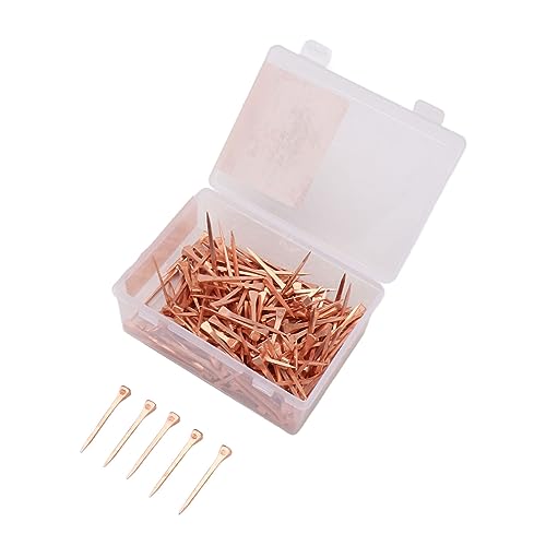 Asixxsix 250 Stück Hufeisennägel, Verkupferte, Rostfreie Reitausrüstung mit Aufbewahrungsbox aus Kunststoff, Hufstifte aus Stahl für Pferdetraining und Viehzuchtfarmen (51mm E5) von Asixxsix