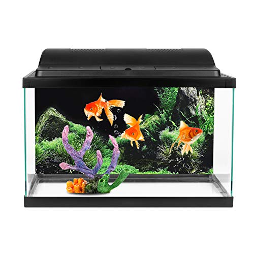 Asixxsix Aquarium-Aufkleber, Wassergras-Aquarium-Aufkleber, Wasserdichtes PVC für Aquaridum Aquarium Home Office (61 * 30CM) von Asixxsix