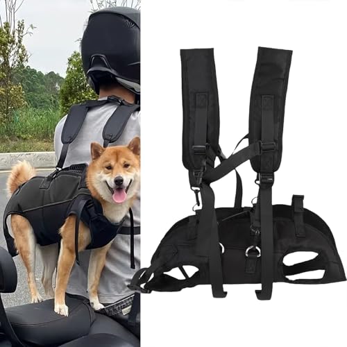 Asixxsix Haustierhundträger -Rucksack, Kleiner Hunde -Front -Rucksack Belüftetes Mesh Dog Travel Rack Pack mit Einstellbarem Sicherheitsgürtel, Ergonomische Unterstützung (S) von Asixxsix