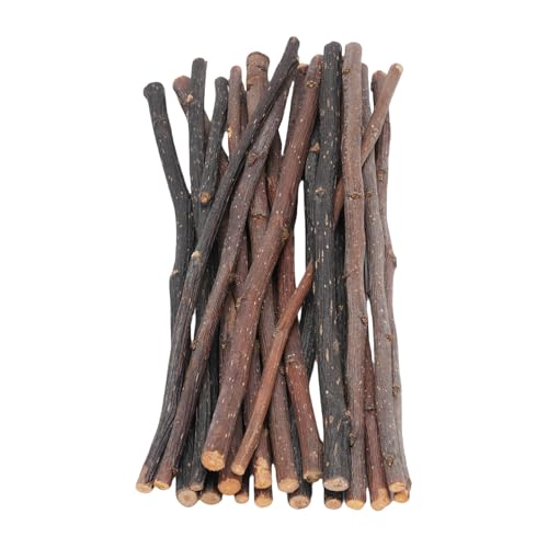 Asixxsix Holzspielzeug für Kleintiere, Wiederverwendbare Kaustangen aus Bio-Holz (20 cm) für Kaninchen, Chinchillas, Meerschweinchen, Hamster, Rennmäuse von Asixxsix