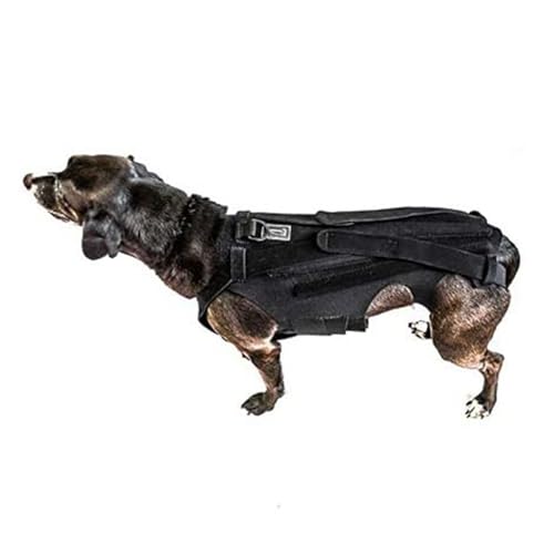 Asixxsix Hunde-Rückenbandage für Arthritis bei Hunden, Haustier-Rückenbandage für IVDD, Rückenschutz Hilft bei Schmerzlinderung, Chirurgischer Genesung und Rehabilitation (S) von Asixxsix