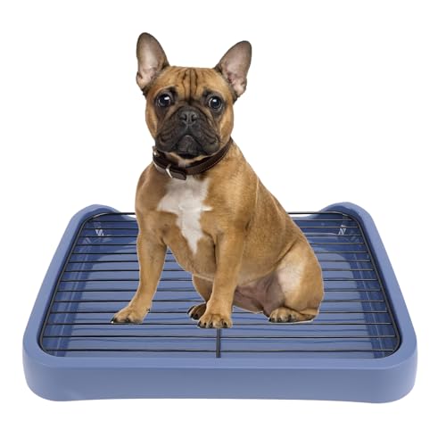 Asixxsix Hundetöpfchen-Tablett für den Innenbereich, 18,11 X 13,78 X 1,97 Zoll, Mesh-Hundetrainings-Toilettentablett, rutschfest, Geruchlos, Tragbarer Hundetöpfchen-Trainings-PIPI-Pad-Halte Asixxsix Hundetöpfchen-Tablett für den Innenbereich, 18,11 X 13,78 X 1,97 Zoll, Mesh-Hundetrainings-Toilettentablett, rutschfest, Geruchlos, Tragbarer Hundetöpfchen-Trainings-PIPI-Pad-Halte von Asixxsix