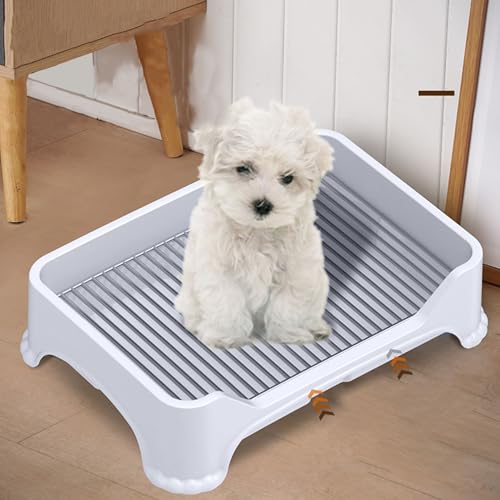 Asixxsix Hundetoilette, Edelstahlgitter-Design, Welpentoilette für den Innenbereich mit Rutschfester Unterseite, Töpfchentrainer-Welpen-PIPI-Pad, Töpfchentrainingstablett für kleine (Gray) von Asixxsix
