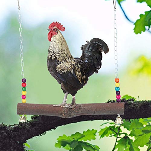 Macaw Swing Toy, Naturholz ungiftig mit Haken Handmade Cage Hanging Toy, für zu Hause(Chicken Swing) von Asixxsix