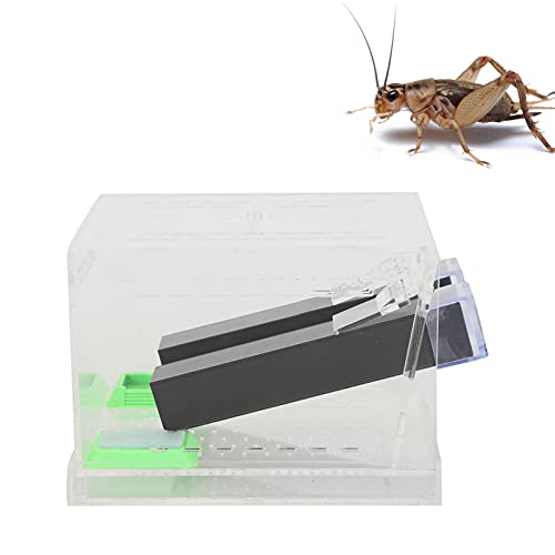 Asixxsix Reptilienfütterungsbox, Acryl Transparent Portable Cricket Keeper mit Kotschicht und Rohr, Abnehmbarer Deckel Tierlebensraum Käfig für Spinne Skorpion Gecko Schildkröte (L) von Asixxsix