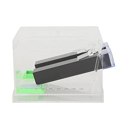 Asixxsix Reptilienfütterungsbox, Acryl Transparent Portable Cricket Keeper mit Kotschicht und Rohr, Abnehmbarer Deckel Tierlebensraum Käfig für Spinne Skorpion Gecko Schildkröte (L) von Asixxsix