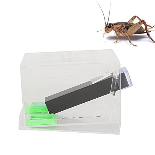 Asixxsix Reptilienfütterungsbox, Acryl Transparent Portable Cricket Keeper mit Kotschicht und Rohr, Abnehmbarer Deckel Tierlebensraum Käfig für Spinne Skorpion Gecko Schildkröte (S) von Asixxsix