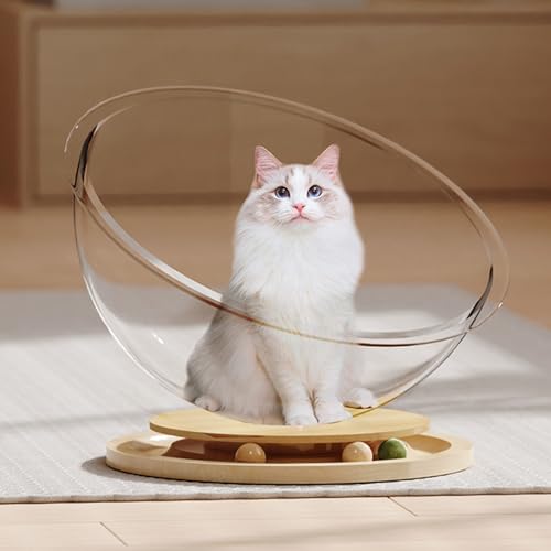 Durchsichtiges Kapsel-Katzenbett, Transparentes Acryl-Katzenhaus mit Holzdrehscheibe, Raumkapsel-Haustier-Hängemattenbett, Raumkapsel-Katzenbett, Bettspielzeug für Kleine Haustiere Durchsichtiges Kapsel-Katzenbett, Transparentes Acryl-Katzenhaus mit Holzdrehscheibe, Raumkapsel-Haustier-Hängemattenbett, Raumkapsel-Katzenbett, Bettspielzeug für Kleine Haustiere von Asixxsix
