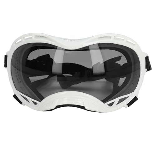 Hundesonnenbrille, UV-Schutz, Wasserdicht, Winddicht, Augenschutz, Haustierbrille mit Verstellbarem Riemen, Schützt die Augen des Hundes, Bequemes PC-Material, Große Hundebrille Hundesonnenbrille, UV-Schutz, Wasserdicht, Winddicht, Augenschutz, Haustierbrille mit Verstellbarem Riemen, Schützt die Augen des Hundes, Bequemes PC-Material, Große Hundebrille von Asixxsix