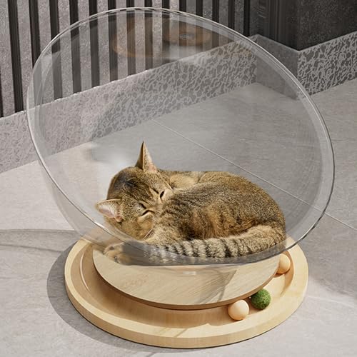 Raumkapsel-Katzenbett, Transparentes Acryl-Katzenhaus mit Holzdrehscheibe, Erhöhtes Katzenbett, Acryl-Nest-Kapselbett für Kleine Haustiere, Katzenhängemattenbett Raumkapsel-Katzenbett, Transparentes Acryl-Katzenhaus mit Holzdrehscheibe, Erhöhtes Katzenbett, Acryl-Nest-Kapselbett für Kleine Haustiere, Katzenhängemattenbett von Asixxsix