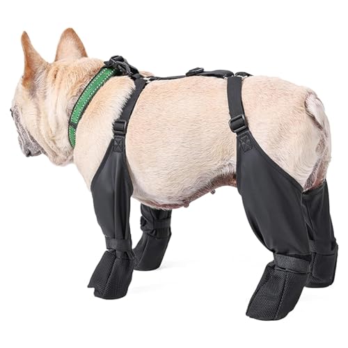 Asixxsix Verstellbare, Bequeme, wasserdichte Hundestiefel, Rutschfester Haustierpfotenschutz für Kleine Mittelgroße Hunde, Winterregen-Schnee-Leggings mit Robuster Gummisohle (M) von Asixxsix