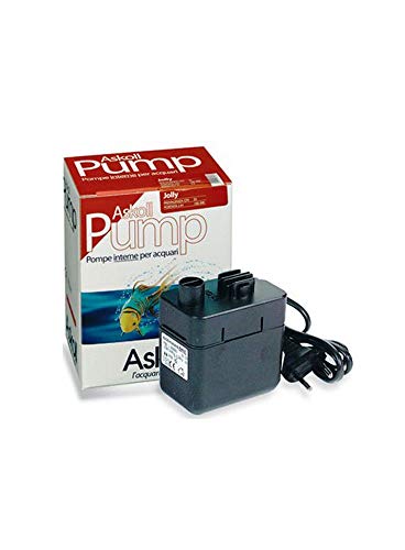 Askoll 200703 Pumpe Biodynamis 5 1000 L/h, XL von Askoll