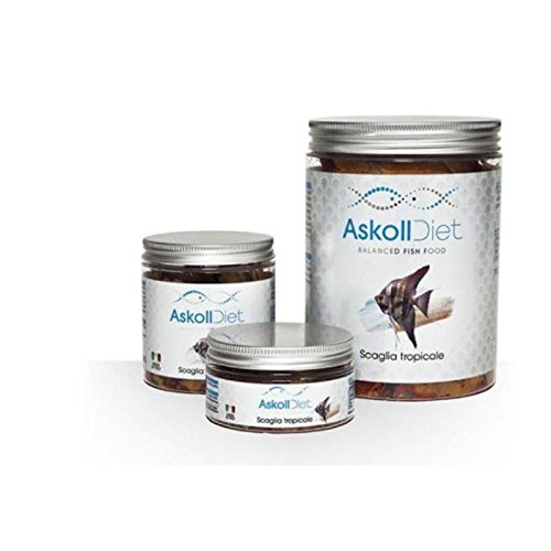 Askoll 280505 Diet Tropical Schaber, 150 g, 1000 ml, L von Askoll