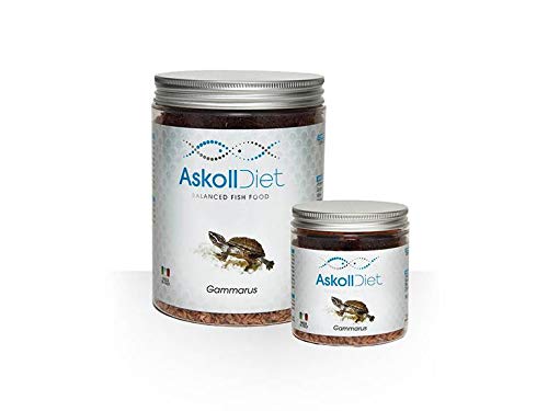 Askoll 280523 Diät Futter für Wasserschildkröten Gammarus, L von Askoll