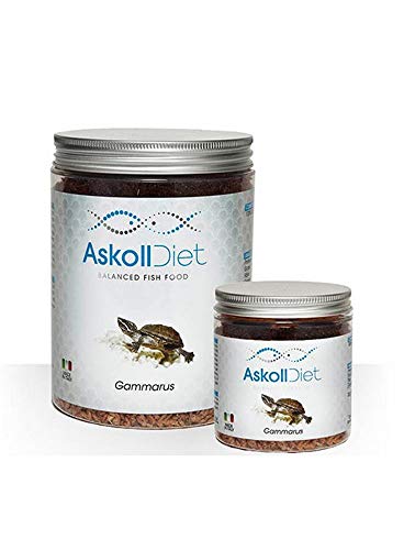 Askoll 280523 Diät Futter für Wasserschildkröten Gammarus, L von Askoll