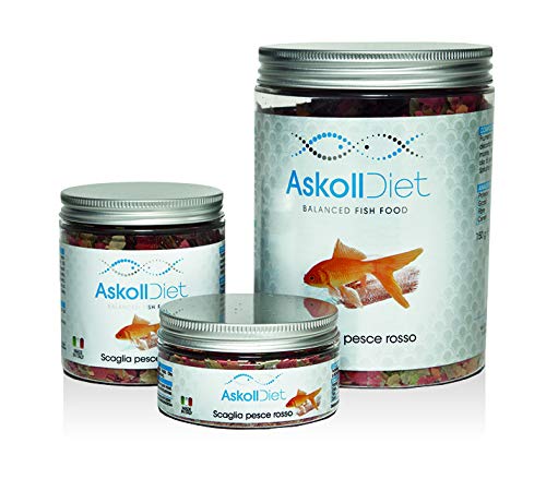 Askoll 280530 Diet Rotfischfutter in Schachteln, L von Askoll