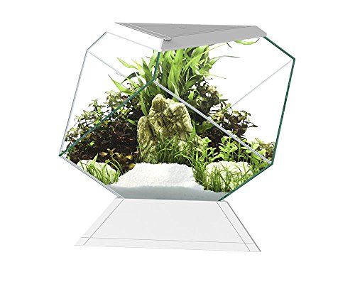 Askoll 280669 Nexus 5C Betta Life White von Askoll