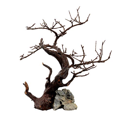 Askoll 281229 Ornament Wood&Rock Black 26X22X32 von Askoll