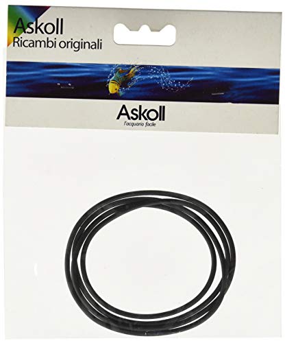 Askoll 950036 Dichtungsring transparent Tenerif 55 Supercrystal von Askoll