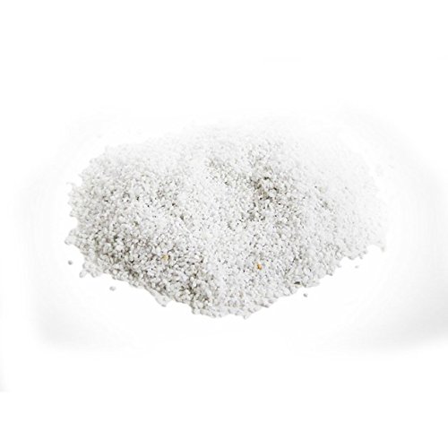 Askoll Aa210001 Pure Sand Zen weißer feiner Sand für Aquarium von Askoll