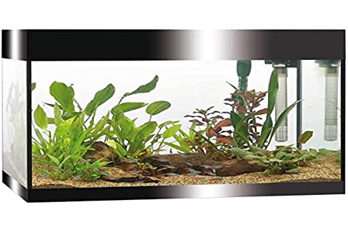 Askoll Aa350050 Pure Acquarium Kit schwarz LED 68 Liter - Filter - Heizung - Timer LED Beleuchtung, L, schwarz von Askoll