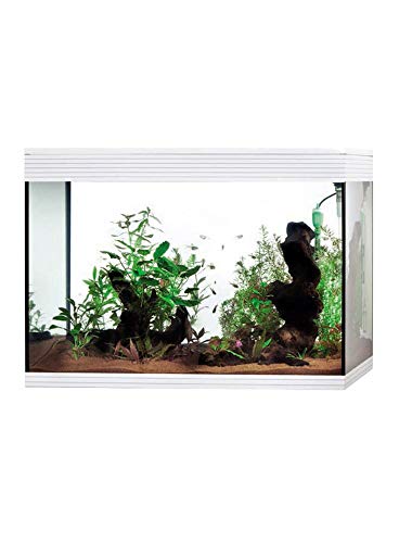 Askoll Aa350073 Aquarium Pure LED XL, Weiß von Askoll