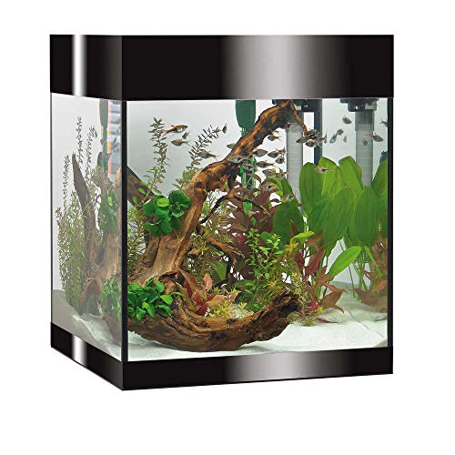 Askoll Pure LED Aquarium, 44 l, Schwarz von Askoll