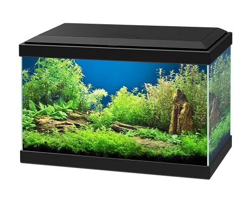 Askoll Aquarium Aqua 20 Schwarz 40 x 20 x 31 mit LED und Filter 17 Liter von Ciano