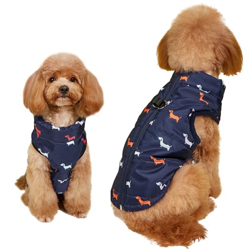 Asmea Hundemantel Winter Hundejacke Warme Hundemantel für Kleine Mittelgroße Grosse Hunde Winddichte Hundekleidung Hundeweste mit Geschirr Loch Hundejacke für Winter kaltes Wetter Blau S Asmea Hundemantel Winter Hundejacke Warme Hundemantel für Kleine Mittelgroße Grosse Hunde Winddichte Hundekleidung Hundeweste mit Geschirr Loch Hundejacke für Winter kaltes Wetter Blau S von Asmea