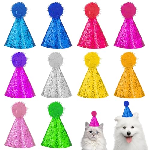 10 x mehrfarbige Hunde-Partyhüte für Katzenpartys, Mini-wiederverwendbare Hundeparty-Hut für Hundeparty, niedliches verstellbares Kopfband, Katzenpartyhut/Glitzer-Mini-Partyhut für kleine, mittelgroße 10 x mehrfarbige Hunde-Partyhüte für Katzenpartys, Mini-wiederverwendbare Hundeparty-Hut für Hundeparty, niedliches verstellbares Kopfband, Katzenpartyhut/Glitzer-Mini-Partyhut für kleine, mittelgroße von Asofelk