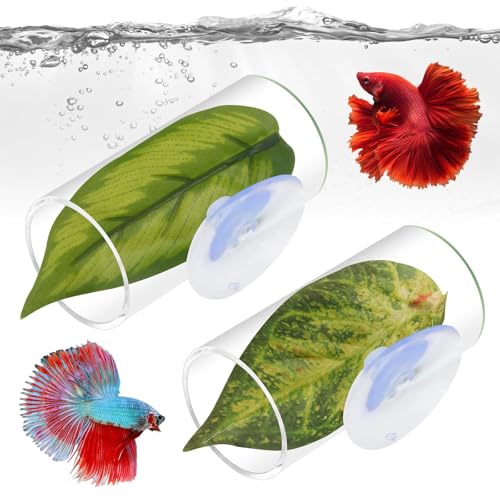 Asofelk 2 transparente Fisch-Acryl-Tube-Tunnel, Betta-Blatt-Pad, simuliert interessantes Spielzeug, Unterschlupf für Aquarium, Dekoration, Aquarium-Zubehör, für Betta-Laichboden, hohle Fischhöhle mit Asofelk 2 transparente Fisch-Acryl-Tube-Tunnel, Betta-Blatt-Pad, simuliert interessantes Spielzeug, Unterschlupf für Aquarium, Dekoration, Aquarium-Zubehör, für Betta-Laichboden, hohle Fischhöhle mit von Asofelk
