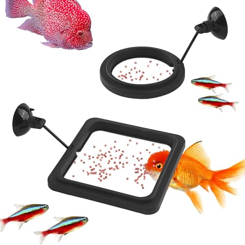 2 x Fisch-Futterringe, schwarzer Aquarium-Futterring, schwimmender Pflanzenring, praktisches, rundes schwimmendes Futter, verhindert, dass Wasserturbulenzen Lebensmittel in den Filter waschen (9,5 x von Asofelk