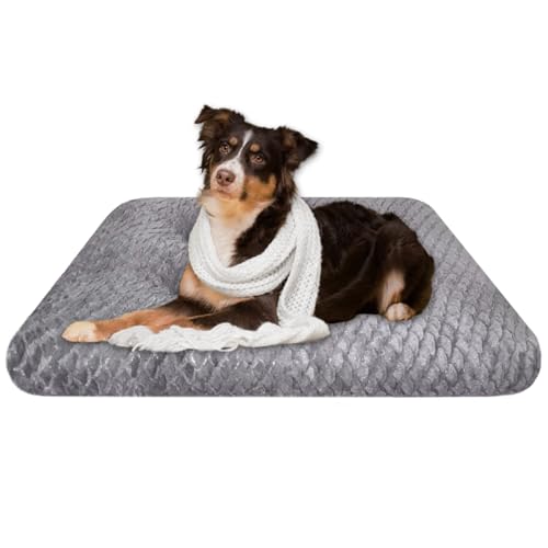 Asapnd Orthopädisches Hundekissen, 117x74cm, Fischschuppenmuster, Waschbar, Hundebett Grosse Hunde, Rutschfester Boden, Weich Und Bequem, Grau Asapnd Orthopädisches Hundekissen, 117x74cm, Fischschuppenmuster, Waschbar, Hundebett Grosse Hunde, Rutschfester Boden, Weich Und Bequem, Grau von Aspand