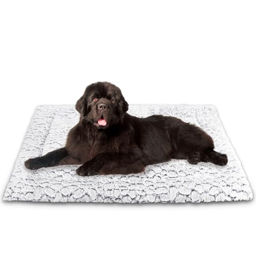Aspand Hundebett für Grosse und Mittelgroße Hunde-Hundebetten mit Weichem,109x73cm, Orthopädisches Hundematte, Kurzem Flor und Rutschfester Unterseite in Marmoroptik,Gunkelgrau von Aspand