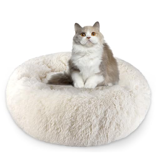 Aspand Katzenbett flauschig,Katzenkissen,60cm Ø - weiches und bequemes Haustierbett mit Rutschfester Unterseite für einen warmen und gemütlichen Schlafplatz,Beige Aspand Katzenbett flauschig,Katzenkissen,60cm Ø - weiches und bequemes Haustierbett mit Rutschfester Unterseite für einen warmen und gemütlichen Schlafplatz,Beige von Aspand