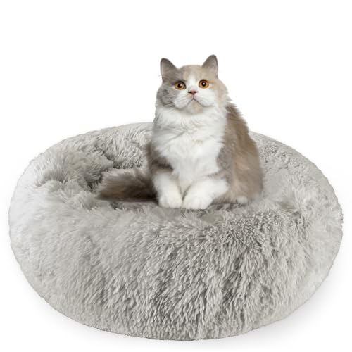Aspand Katzenbett flauschig,Katzenkissen,60cm Ø - weiches und bequemes Haustierbett mit Rutschfester Unterseite für einen warmen und gemütlichen Schlafplatz,Dunkelgrau Aspand Katzenbett flauschig,Katzenkissen,60cm Ø - weiches und bequemes Haustierbett mit Rutschfester Unterseite für einen warmen und gemütlichen Schlafplatz,Dunkelgrau von Aspand