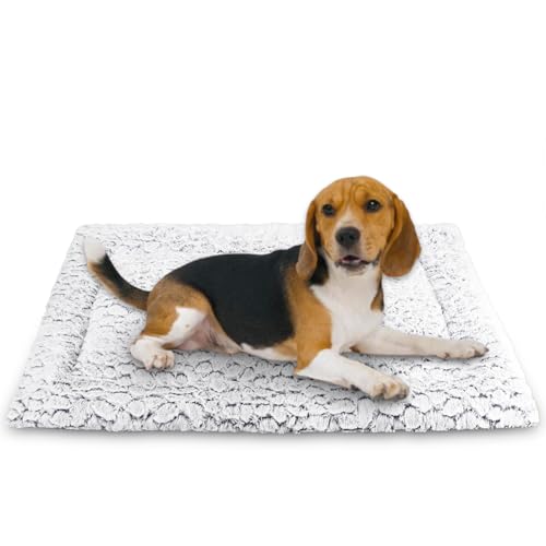 Aspand Kurzes Hundekissen aus Plüsch, für große und mittelgroße Hunde, 75 x 50 cm, leicht zu reinigen, warm und bequem, Dunkelgrau Aspand Kurzes Hundekissen aus Plüsch, für große und mittelgroße Hunde, 75 x 50 cm, leicht zu reinigen, warm und bequem, Dunkelgrau von Aspand