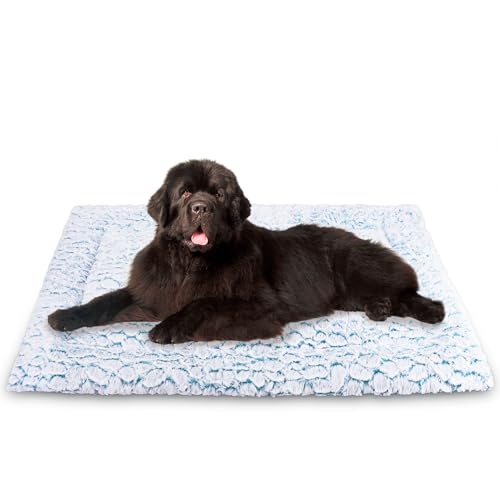 Aspand Kurzes Hundekissen aus Plüsch, für große und mittelgroße Hunde, Matratze für Hunde, 109x73cm, leicht zu reinigen, warm und bequem, Blau Aspand Kurzes Hundekissen aus Plüsch, für große und mittelgroße Hunde, Matratze für Hunde, 109x73cm, leicht zu reinigen, warm und bequem, Blau von Aspand