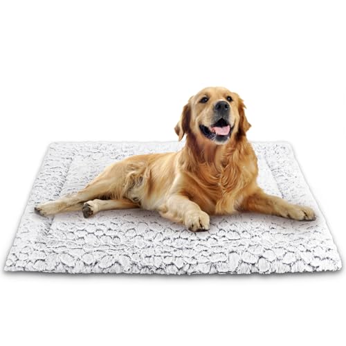 Aspand Orthopädisches Hundebett für Große und Mittelgroße Hunde, 94x61cm, Tragbares Hundebetten für Camping, Autoreisen, Gunkelgrau Aspand Orthopädisches Hundebett für Große und Mittelgroße Hunde, 94x61cm, Tragbares Hundebetten für Camping, Autoreisen, Gunkelgrau von Aspand