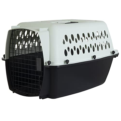 Aspen Pet Pet Porter Kunststoff-Transportbox für Hunde von Pet Mate