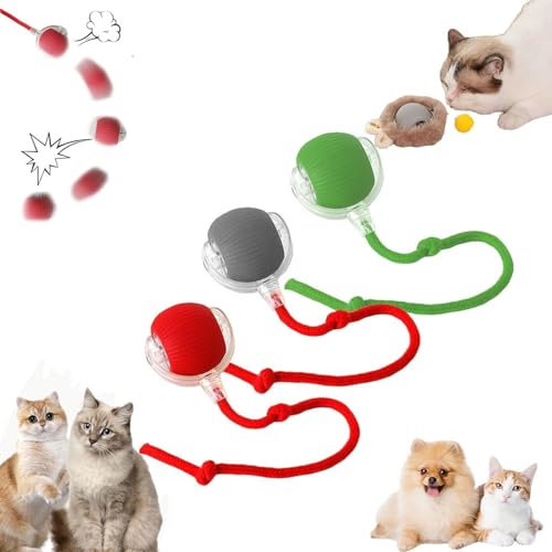 Interaktives Katzenball Spielzeug - Katzenspielzeug Elektrisch mit USB Aufladbar, DREI Arbeitsmodi, 360° Rolling Smart Ball für Katzen und Hunde (3 PCS) von Asslye