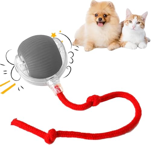 Interaktives Katzenball Spielzeug - Katzenspielzeug Elektrisch mit USB Aufladbar, DREI Arbeitsmodi, 360° Rolling Smart Ball für Katzen und Hunde (Grau) von Asslye