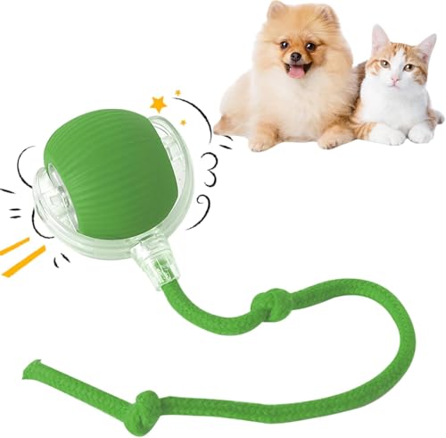 Interaktives Katzenball Spielzeug - Katzenspielzeug Elektrisch mit USB Aufladbar, DREI Arbeitsmodi, 360° Rolling Smart Ball für Katzen und Hunde (Grün) von Asslye