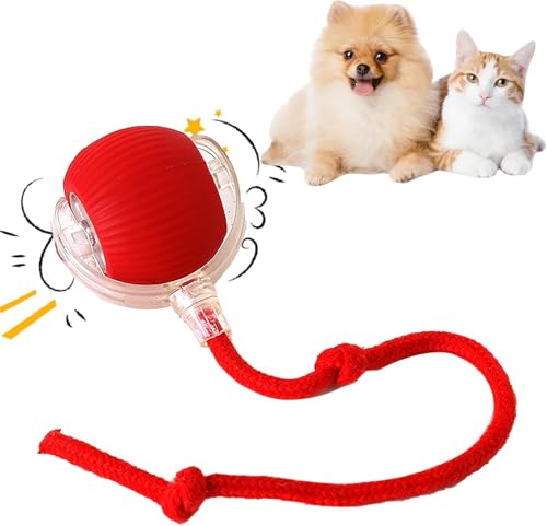 Interaktives Katzenball Spielzeug - Katzenspielzeug Elektrisch mit USB Aufladbar, DREI Arbeitsmodi, 360° Rolling Smart Ball für Katzen und Hunde (Rot) von Asslye