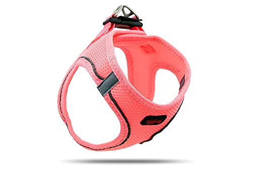 ASTORPET | Hundegeschirr Typ Mesh Verstellbar & Einfach Anziehen - Hundezubehör Tailpetz Hundegeschirr Neon Pink - Größe S von Astorpet
