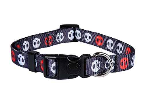 ASTORPET | Verstellbares Hundehalsband, weich und langlebig, für kleine, mittelgroße und große Hunde, Schnalle mit Sicherheitsverschluss, Modell Corso – Größe XS ASTORPET | Verstellbares Hundehalsband, weich und langlebig, für kleine, mittelgroße und große Hunde, Schnalle mit Sicherheitsverschluss, Modell Corso – Größe XS von Astorpet