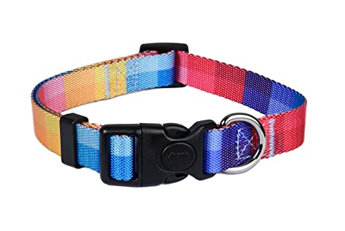 ASTORPET | Verstellbares Hundehalsband, weich und langlebig, für kleine, mittelgroße und große Hunde, Schnalle mit Sicherheitsverschluss, Zwillingsmodell – Größe M ASTORPET | Verstellbares Hundehalsband, weich und langlebig, für kleine, mittelgroße und große Hunde, Schnalle mit Sicherheitsverschluss, Zwillingsmodell – Größe M von Astorpet