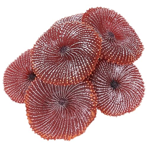 Asuinxurr NEUES Set VON 6 MIKROFASER DAMPF MOP Boden WASCHBARE ERSATZTEILE Fuer Asuinxurr NEUES Set VON 6 MIKROFASER DAMPF MOP Boden WASCHBARE ERSATZTEILE Fuer von Asuinxurr